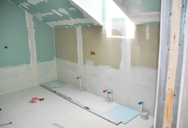 Best Mold Documentation for Insurance Claims  in Lexington, TX