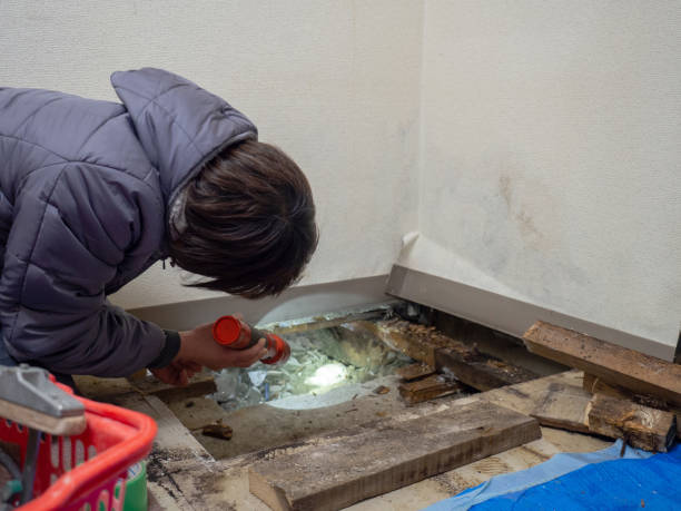 Best Commercial Mold Inspection  in Lexington, TX