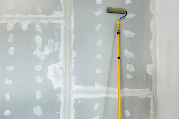 Best Post-Construction Mold Inspection  in Lexington, TX