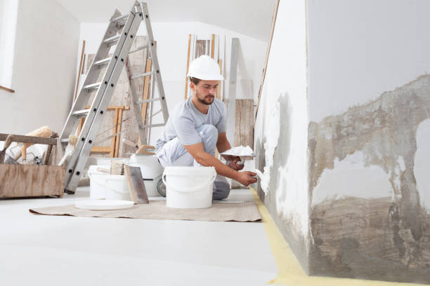 Best Basement Mold Removal  in Lexington, TX