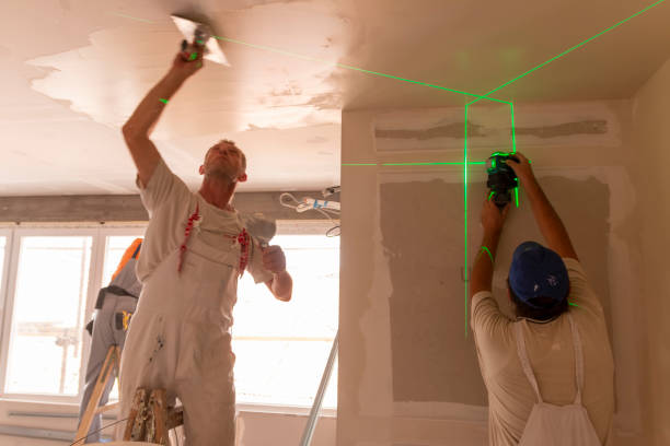 Best Mold Odor Removal Services  in Lexington, TX