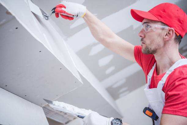 Best Attic Mold Removal  in Lexington, TX
