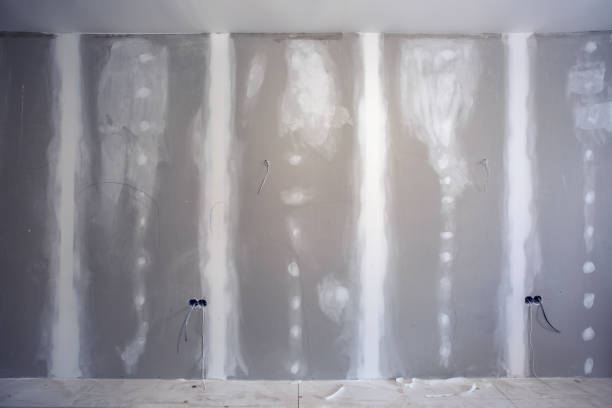 Best Post-Construction Mold Inspection  in Lexington, TX